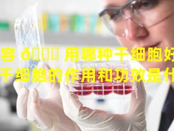 美容 🐟 用哪种干细胞好呢（美容干细胞的作用和功效是什么）
